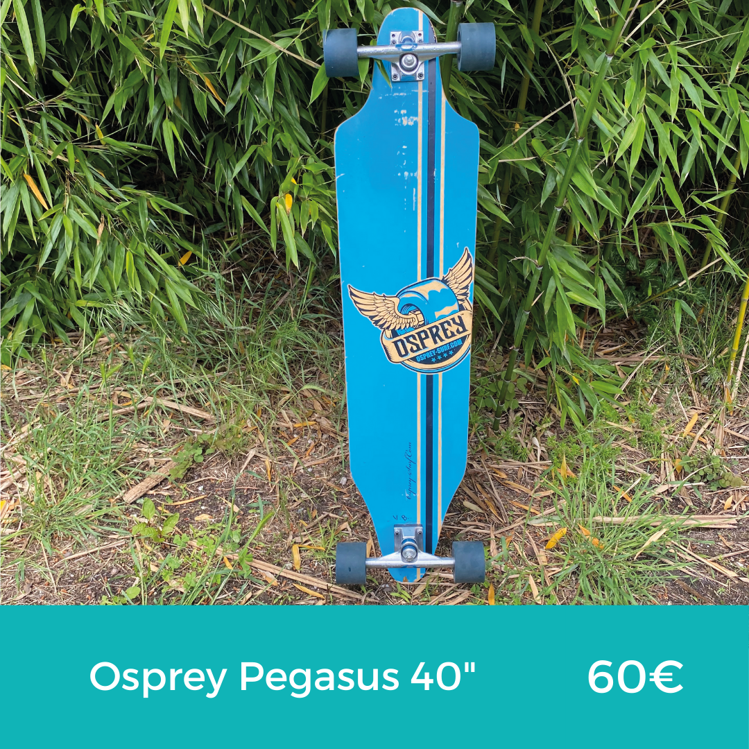 Lire la suite à propos de l’article Osprey Pegasus 40″